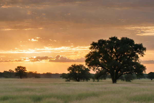 Oklahoma prarie, Canva AI