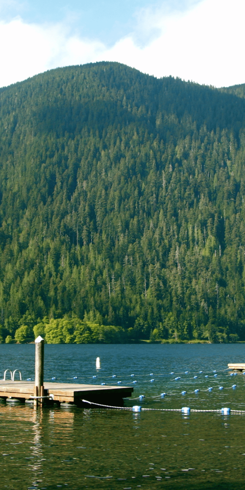 Camp korey image in a press release about Camp Korey