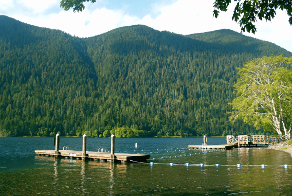 Camp korey image in a press release about Camp Korey