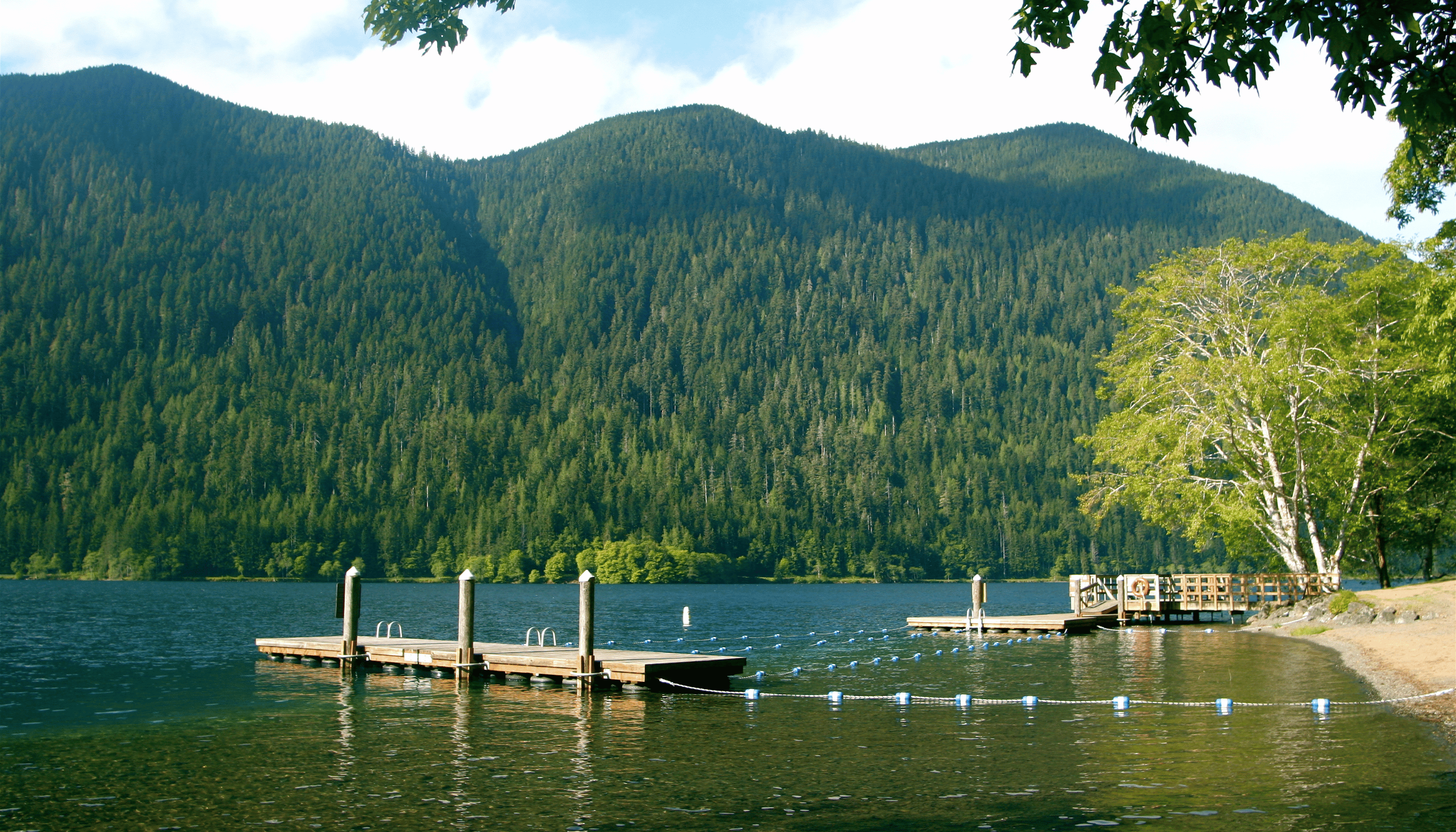 Camp korey image in a press release about Camp Korey