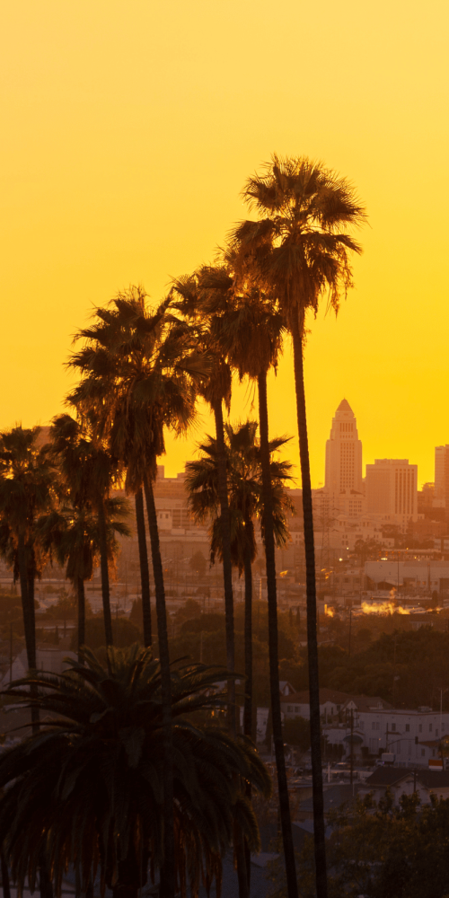 LA skyline in a press release about eastern LA regional Center