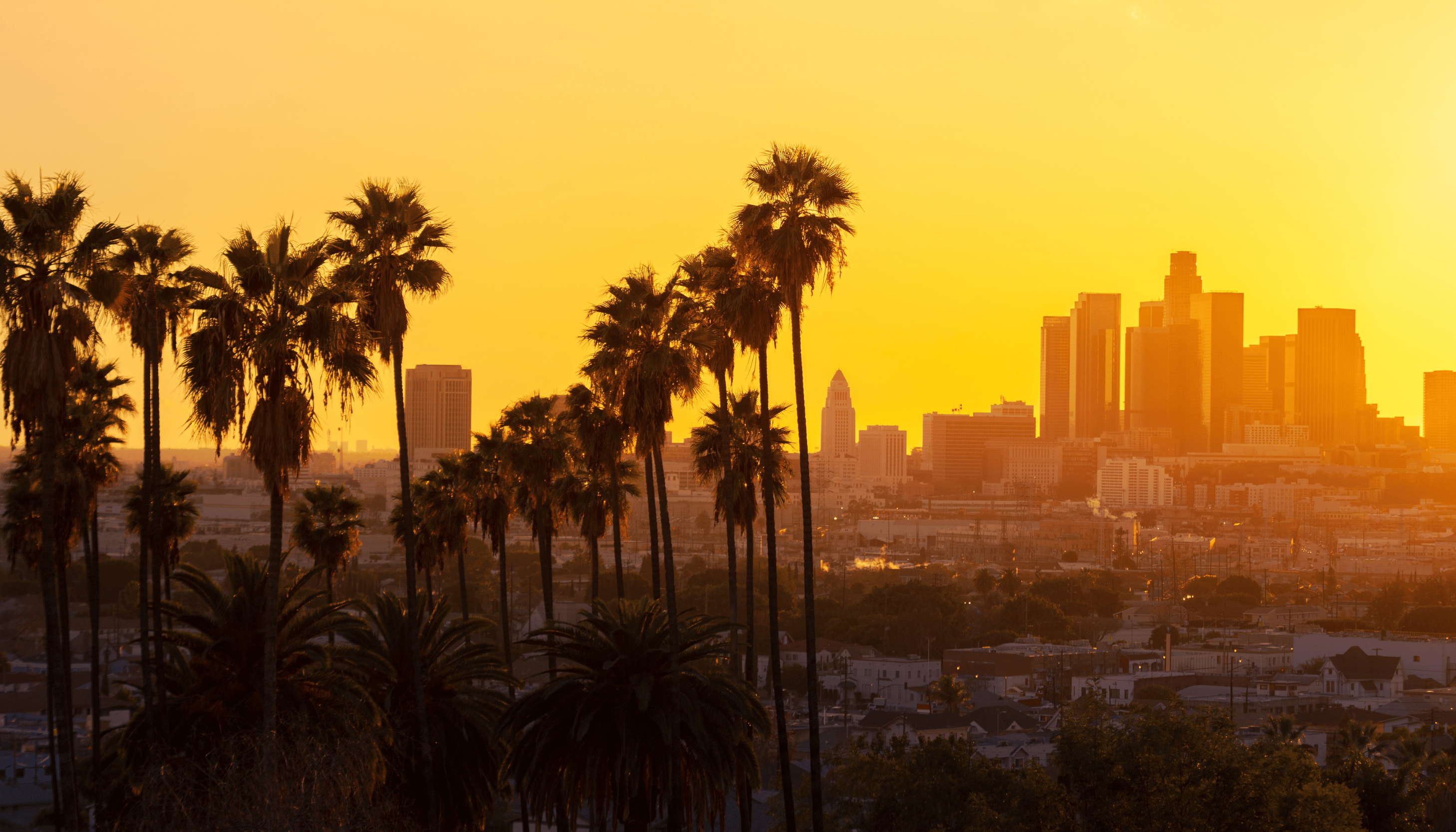 LA skyline in a press release about eastern LA regional Center