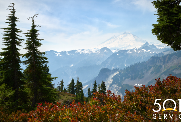 washington background in nonprofit press release