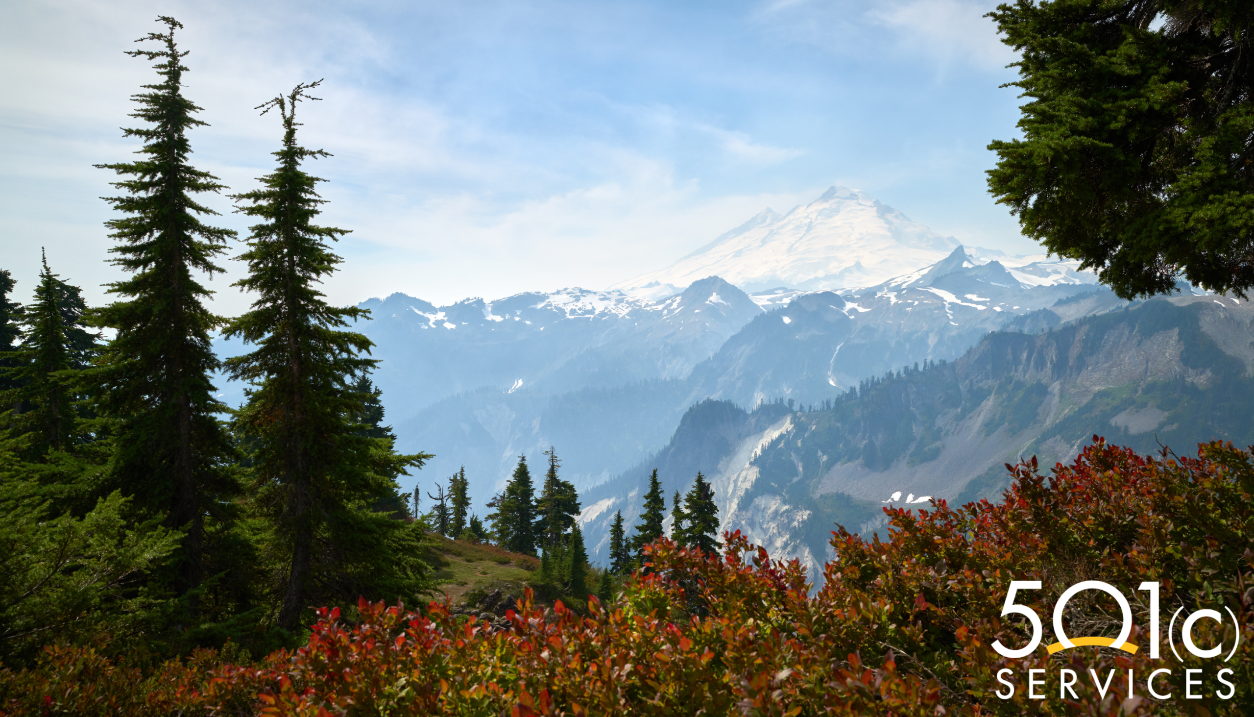 washington background in nonprofit press release